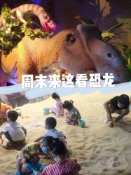 -恐龙探索乐园(磁器口店)