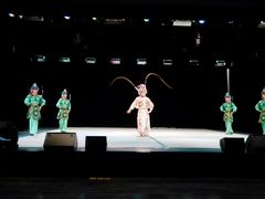 -上海市普陀区文化馆