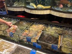 -揭阳钟记小食(福田新村店)