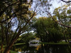 -上海共青森林公园