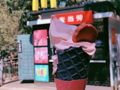 -昆明动物园
