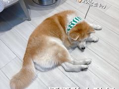 -YCHL Studios健身工作室(市二宫店)