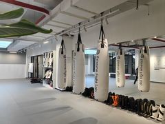 -EFL巴西柔术·综合格斗·泰拳·少儿体能训练(虹桥德必馆)