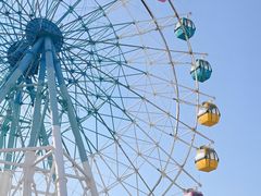 -巨鹏飞梦幻海岸