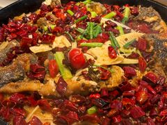 -老板恋上鱼(印象城店)