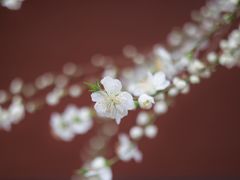 -雍和宫(地铁站)