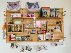 零售区-Catmate·猫肥家润(金润铂宫店)