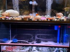 -家贺屋刺身寿司专门店
