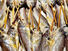 -王氏炉匠·烧鸟放题自助(三里屯店)