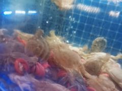 -福禧荟·海鲜自助