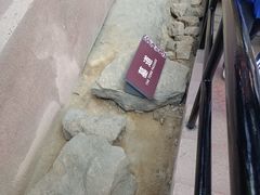 -南越王博物院(王宫展区)