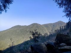 -大围山国家森林公园
