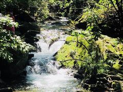 -本溪汤沟绿石谷森林公园