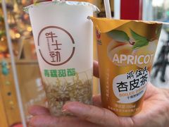 -德禄酸奶(莫家街店)