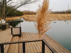 -前关湿地公园
