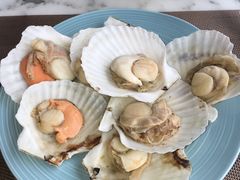 冷鲜区扇贝-漳州佰翔圆山酒店·圆山畔西餐厅