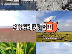 -红海滩国家风景廊道