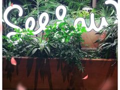 -Seesaw Coffee(朝阳大悦城店)