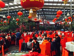 -兴芮温泉度假区