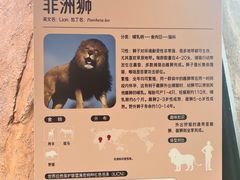 -武汉动物园