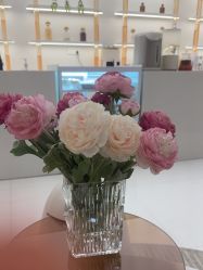 -彼家美创·量肤定制修护管理