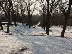 -汉长安城未央宫国家考古遗址公园