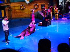 -烟台海昌鲸鲨海洋公园