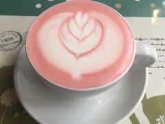 -吉丁鸟咖·异宠·寄养