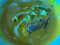 -上海虹桥西郊庄园丽笙大酒店
