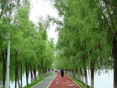-艾溪湖湿地公园