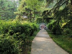 -玲珑塔公园