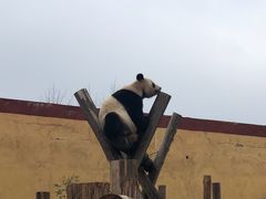 -杭州野生动物世界