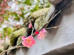 -成都杜甫草堂博物馆