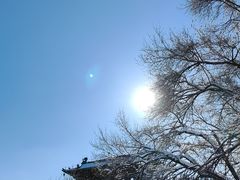 -北陵公园