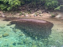 -石台牯牛降景区