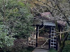 -中国茶叶博物馆(双峰馆区)