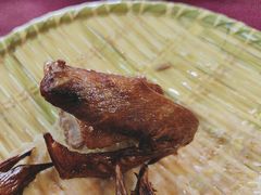 -麻奢鸽农庄·梦里水乡