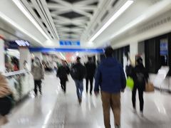 -野芷湖(地铁站)
