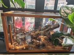 -一尺花园(安和花园店)