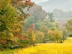 -塔川景区