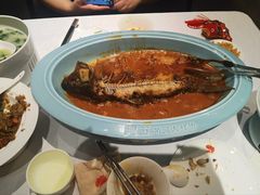 -阿五黄河大鲤鱼(纬三路店)