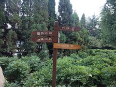 -西苑公园