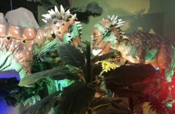 -恐龙探索乐园(磁器口店)