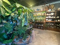 -自由生长植物工作室(深港花卉中心店)
