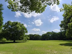 -上海共青森林公园