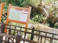 -罗田天堂寨风景区
