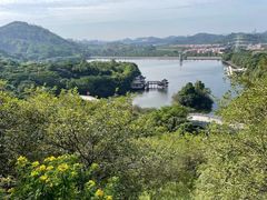 -水濂山森林公园