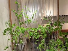 -喜茶(广州保利中环店)