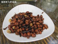 -绿色时代大酒店