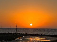 -南汇嘴观海公园